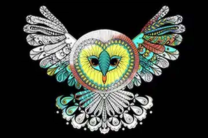 Coloring Owl - interactive app thumbnail