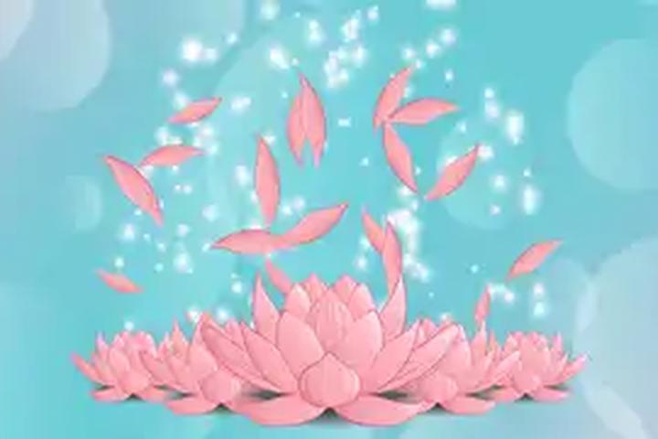 Lotus Flower Petals - interactive app thumbnail