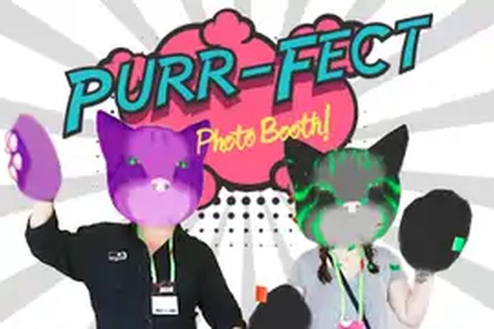 Purr-fect Photo Booth - interactive app thumbnail