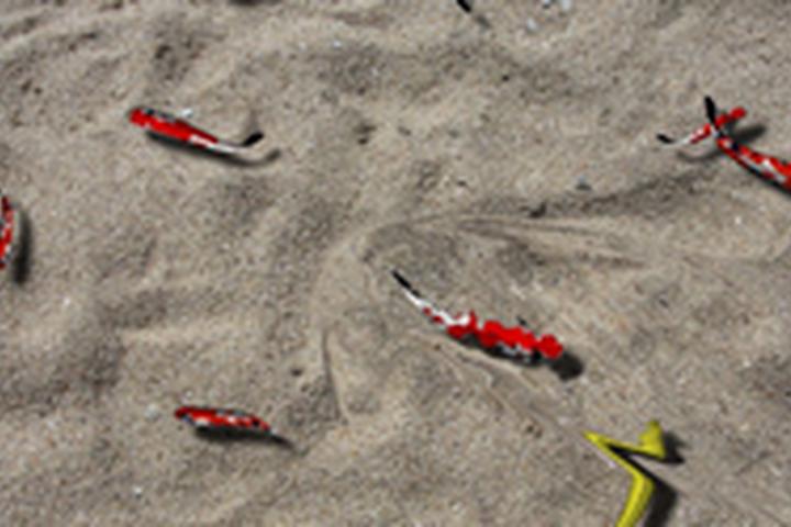 Sandy Fish Pond - interactive app thumbnail