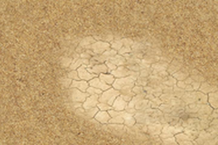 All Cracked Up - interactive app thumbnail