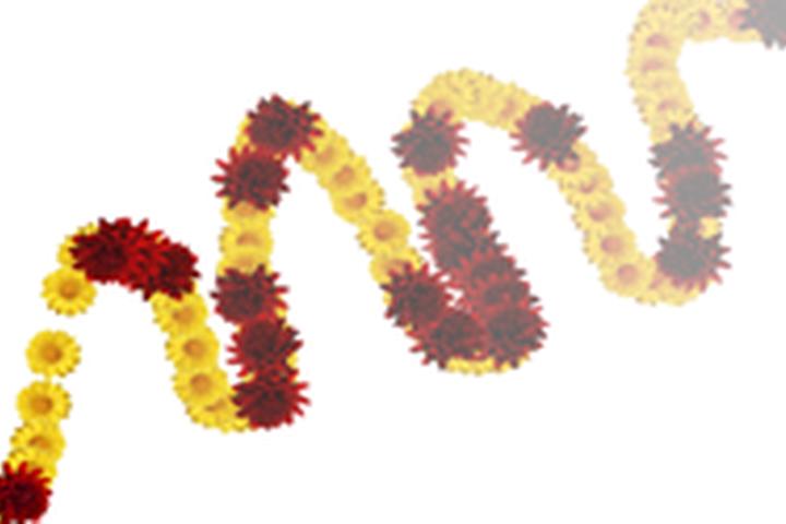 Flower Power - interactive app thumbnail