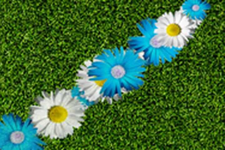 Daisy Trail - interactive app thumbnail