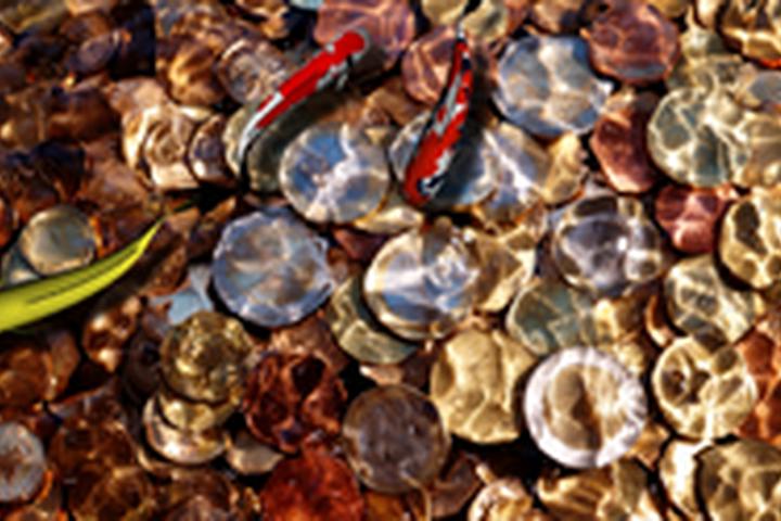 Fortune Fish - interactive app thumbnail