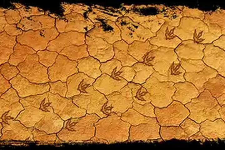 Dino Tracks - interactive app thumbnail