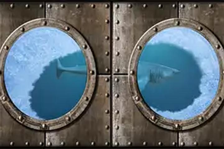 Shark Circling - interactive app thumbnail