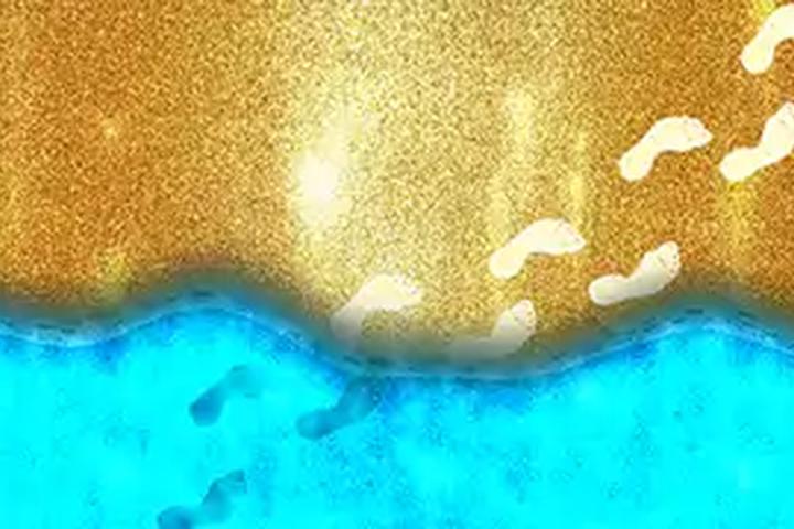 Golden Beach - interactive app thumbnail