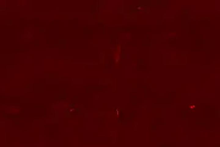 Blood Waterfall - interactive app thumbnail