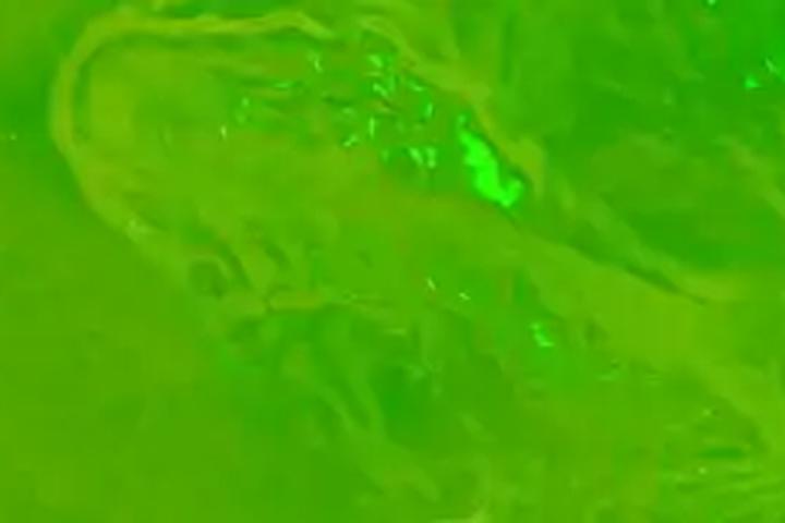 Radioactive River - interactive app thumbnail