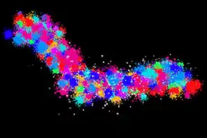 Paint Splatter Trail - interactive app thumbnail