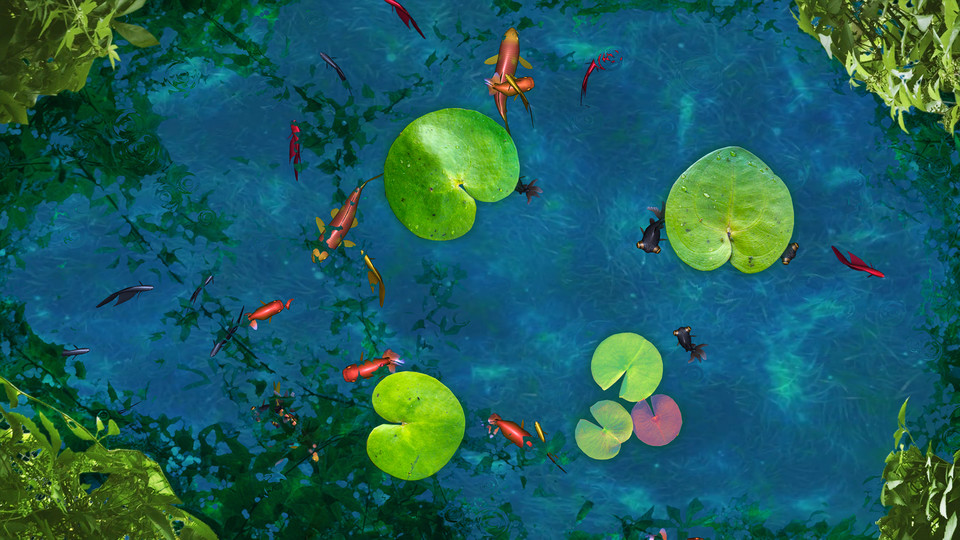 Lily Pad Pond - interactive app thumbnail