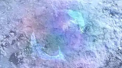 Space Whales - interactive app thumbnail