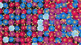 Scatter - interactive app thumbnail