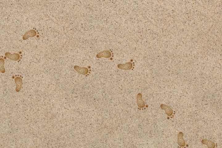 Footprints in Sand - interactive app thumbnail