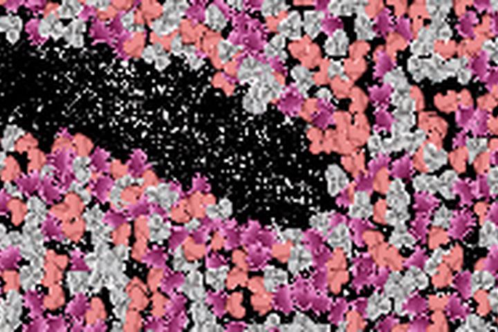 Metal Heart Confetti - interactive app thumbnail