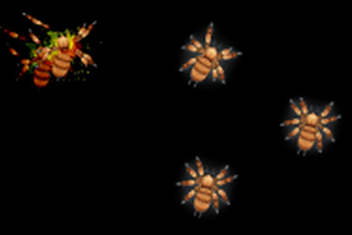 Spider Wall Crawlers - interactive app thumbnail